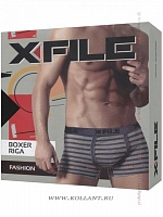 Riga Boxer