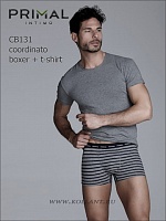 Cb131 Coord. Boxer + T-shirt