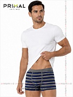 Art. Mix Boxer Var. 7
