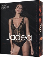 Art. 4840 Body