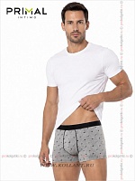 Art. Mix Boxer Var. 5
