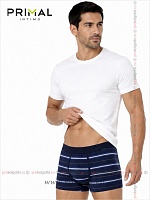 Art. Mix Boxer Var. 9