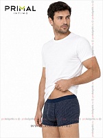 Art. Mix Boxer Var. 12