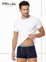 Art. Mix Boxer Var. 3