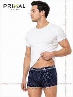 Art. Mix Boxer Var. 2