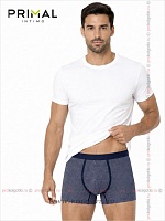 Art. Mix Boxer Var. 14