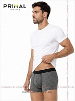 Art. Mix Boxer Var. 13