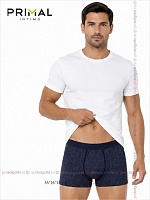 Art. Mix Boxer Var. 8