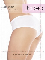 Art. 505 Culotte
